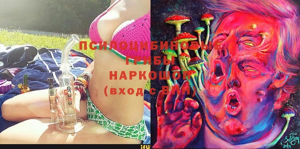 apvp Беломорск